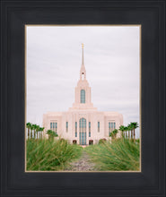 Load image into Gallery viewer, Red Cliffs Utah Palm Trees
