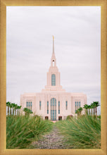 Load image into Gallery viewer, Red Cliffs Utah Palm Trees
