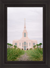 Load image into Gallery viewer, Red Cliffs Utah Palm Trees