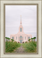 Load image into Gallery viewer, Red Cliffs Utah Palm Trees