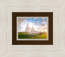 Load image into Gallery viewer, Brigham Utah Springs Light