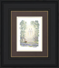 Load image into Gallery viewer, First Vision