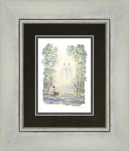 Load image into Gallery viewer, First Vision