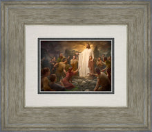 Load image into Gallery viewer, One Shepherd