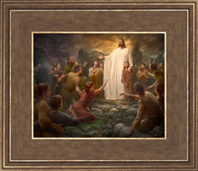 Load image into Gallery viewer, One Shepherd