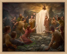 Load image into Gallery viewer, One Shepherd
