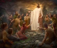 Load image into Gallery viewer, One Shepherd