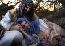 Load image into Gallery viewer, Protect