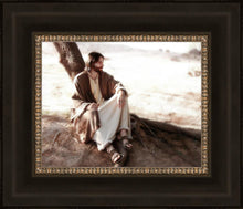 Load image into Gallery viewer, The Solitude of Christ