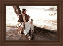Load image into Gallery viewer, The Solitude of Christ