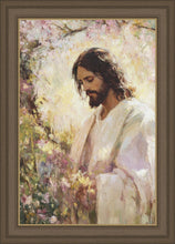 Load image into Gallery viewer, Blossom