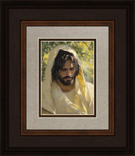 Load image into Gallery viewer, Solemn Grove