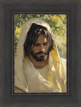 Load image into Gallery viewer, Solemn Grove