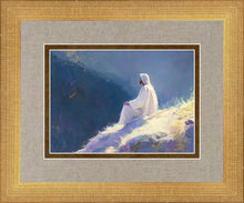 Load image into Gallery viewer, Contemplation