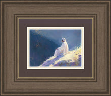 Load image into Gallery viewer, Contemplation