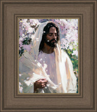Load image into Gallery viewer, Abide