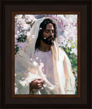 Load image into Gallery viewer, Abide