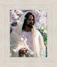 Load image into Gallery viewer, Abide