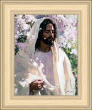 Load image into Gallery viewer, Abide