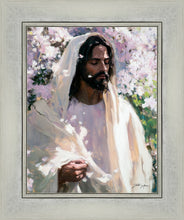 Load image into Gallery viewer, Abide