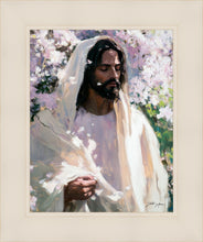 Load image into Gallery viewer, Abide