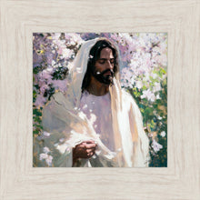 Load image into Gallery viewer, Abide