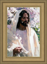 Load image into Gallery viewer, Abide