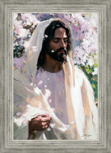 Load image into Gallery viewer, Abide