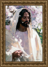 Load image into Gallery viewer, Abide