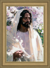 Load image into Gallery viewer, Abide
