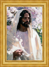 Load image into Gallery viewer, Abide