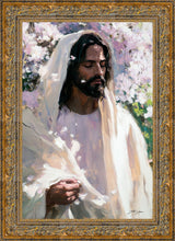 Load image into Gallery viewer, Abide