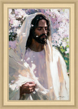 Load image into Gallery viewer, Abide