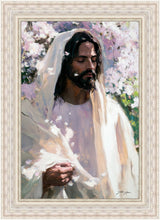 Load image into Gallery viewer, Abide