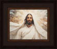 Load image into Gallery viewer, The Light of Life