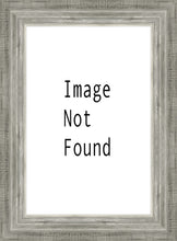 Load image into Gallery viewer, Lawrence Pretended Not to Notice