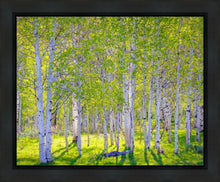 Load image into Gallery viewer, Early Morning Light in the Wasatch Backcountry