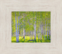 Load image into Gallery viewer, Early Morning Light in the Wasatch Backcountry
