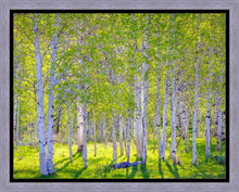 Load image into Gallery viewer, Early Morning Light in the Wasatch Backcountry