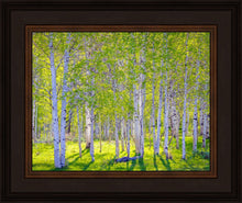 Load image into Gallery viewer, Early Morning Light in the Wasatch Backcountry