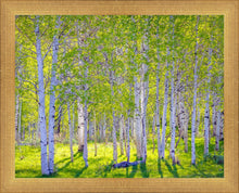 Load image into Gallery viewer, Early Morning Light in the Wasatch Backcountry