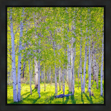 Load image into Gallery viewer, Early Morning Light in the Wasatch Backcountry