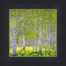 Load image into Gallery viewer, Early Morning Light in the Wasatch Backcountry
