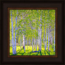 Load image into Gallery viewer, Early Morning Light in the Wasatch Backcountry