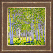 Load image into Gallery viewer, Early Morning Light in the Wasatch Backcountry