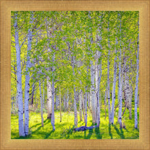 Load image into Gallery viewer, Early Morning Light in the Wasatch Backcountry