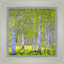Load image into Gallery viewer, Early Morning Light in the Wasatch Backcountry