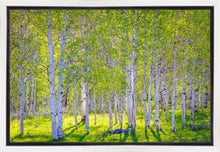 Load image into Gallery viewer, Early Morning Light in the Wasatch Backcountry
