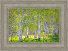 Load image into Gallery viewer, Early Morning Light in the Wasatch Backcountry