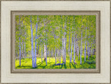 Load image into Gallery viewer, Early Morning Light in the Wasatch Backcountry